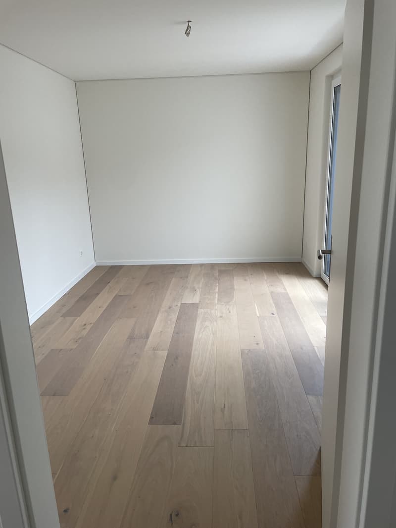 Schöne Attikawohnung mit Aussicht (11)