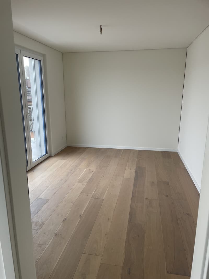 Schöne Attikawohnung mit Aussicht (8)