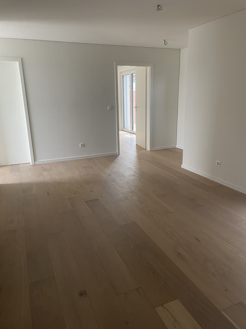 Schöne Attikawohnung mit Aussicht (12)