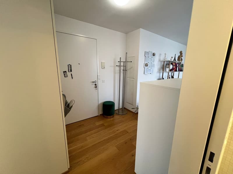 Short-/Mid-Term Stay in Zurich (6)