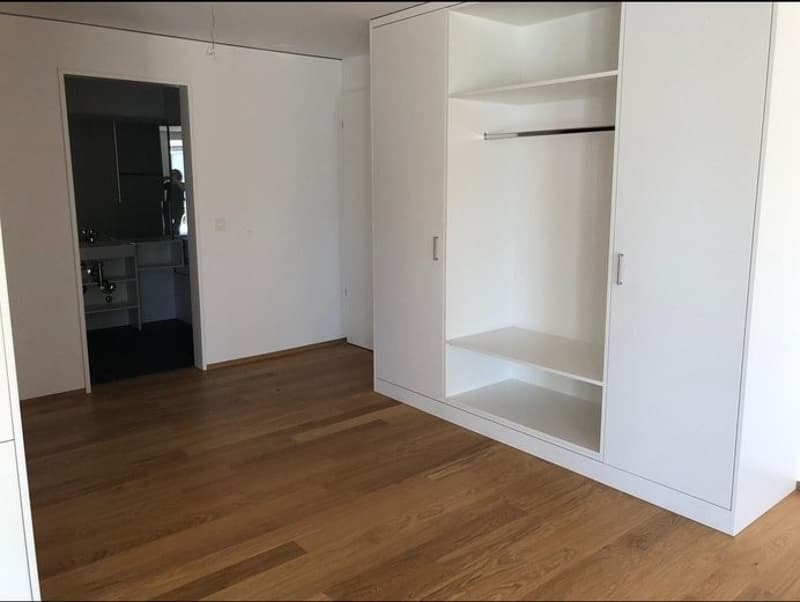 2.5-Zimmer-Wohnung in Lufingen (3)