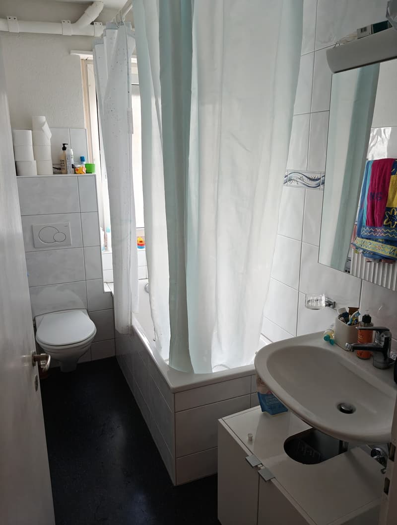 3 Zimmer-Wohnung, 8047 Zürich (4)