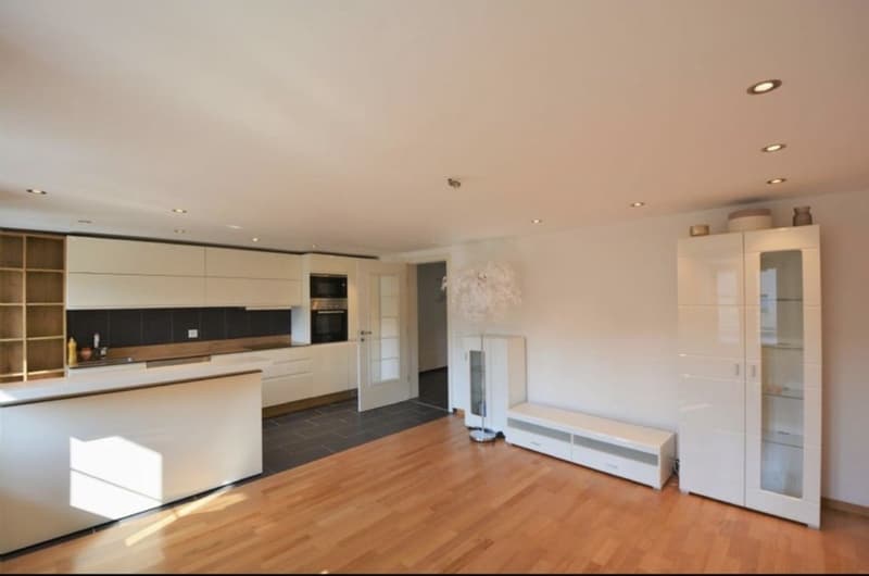 Recherche locataire pour appartement 3.5 pièces (2)