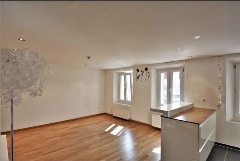 Recherche locataire pour appartement 3.5 pièces (3)