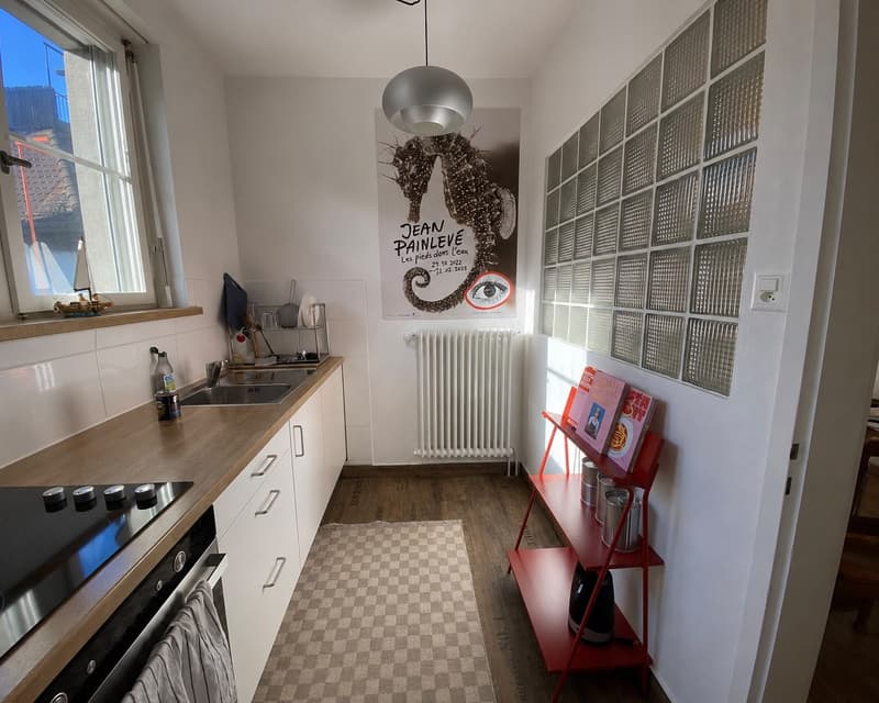 Charmant studio de 1,5 pièces avec grande terrasse au cœur de la vieille ville de Winterthour (6)