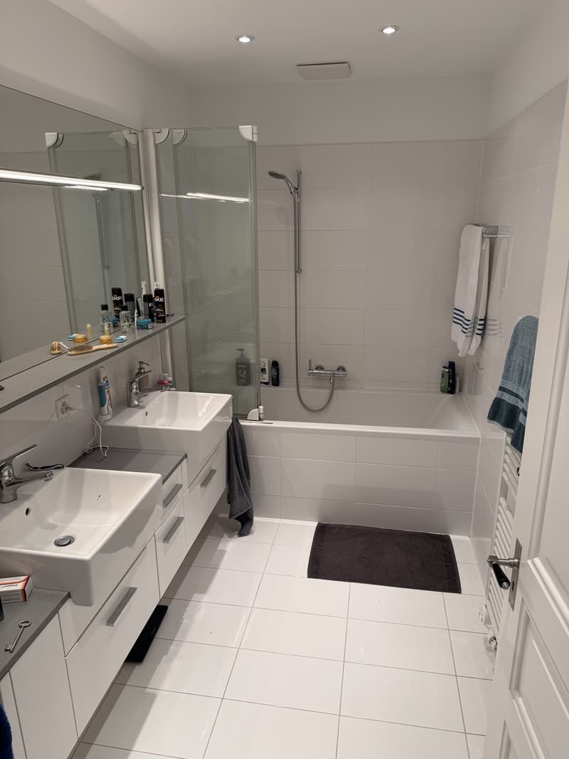 Chambre dans une colocation avec balcon privé dans un immeuble ancien rénové au cœur de Zurich, quartier 4 (8)