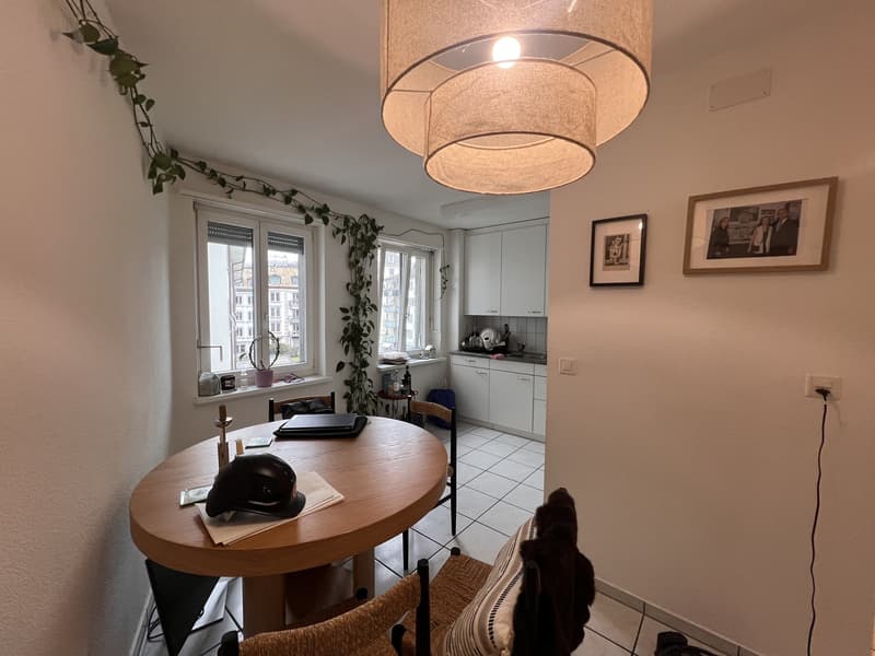 Looking for your perfect single apartment in Zürich-Enge? (Plug & Play from 1 Oct) (6)