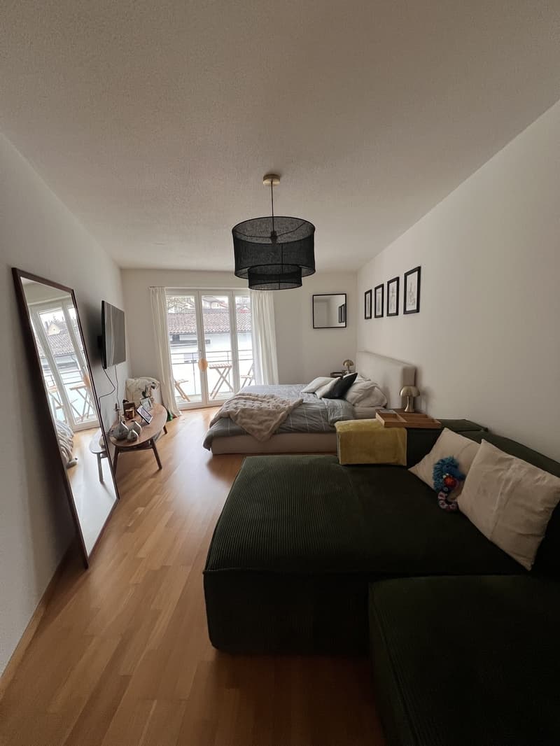 Looking for your perfect single apartment in Zürich-Enge? (Plug & Play from 1 Oct) (1)