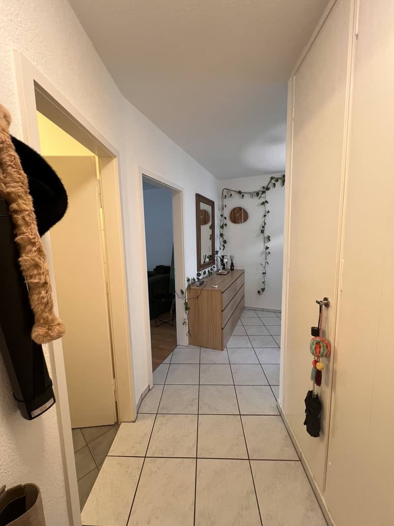 Looking for your perfect single apartment in Zürich-Enge? (Plug & Play from 1 Oct) (5)