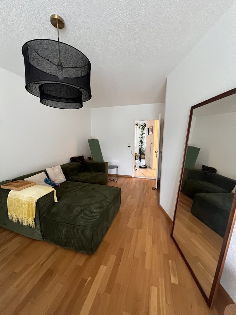 Looking for your perfect single apartment in Zürich-Enge? (Plug & Play from 1 Oct) (4)