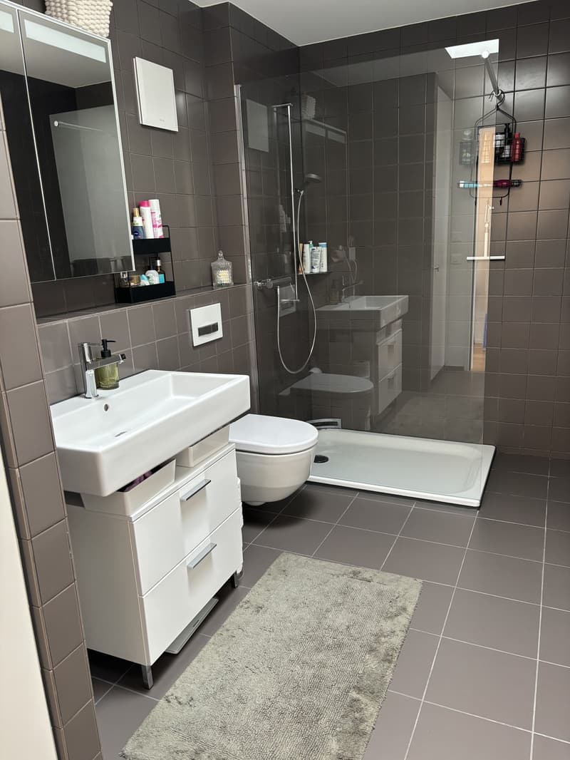 Beautiful 2.5 room Apartment for Sublet 16.07.26-30.09.26 (parking space available) (6)