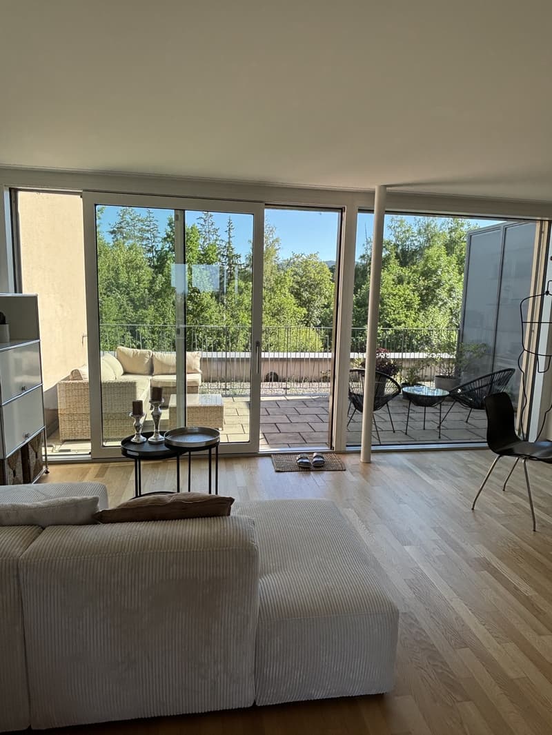 Beautiful 2.5 room Apartment for Sublet 16.07.26-30.09.26 (parking space available) (1)