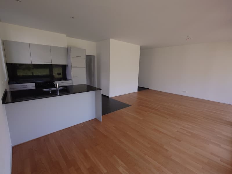 Appartement lumineux 2.5 pièces avec terrasse (1)