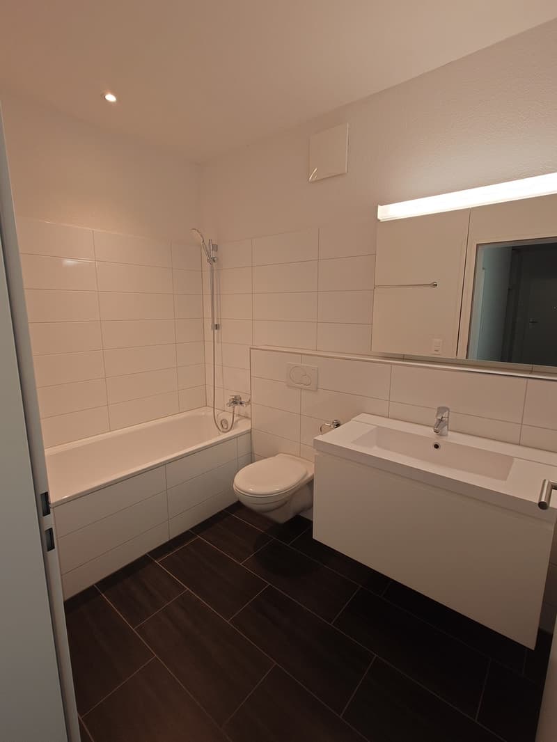 Appartement lumineux 2.5 pièces avec terrasse (5)