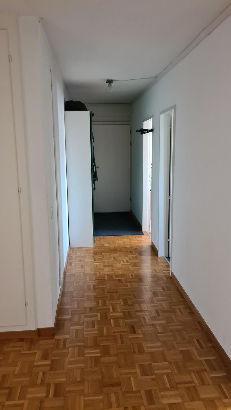 Ruhige sanierte 4-Zi-Whg beim Bahnhof Wetzikon (13)