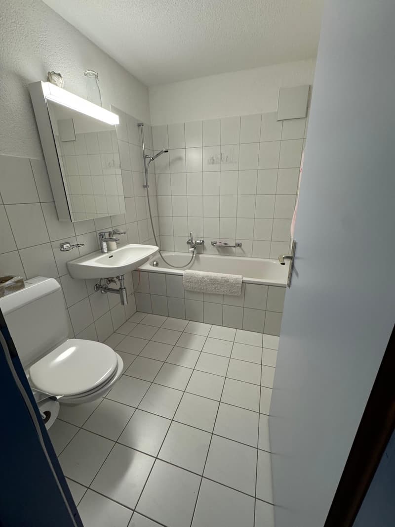 Centrally located & quiet: Furnished apartment available immediately - takeover or sublet (4)