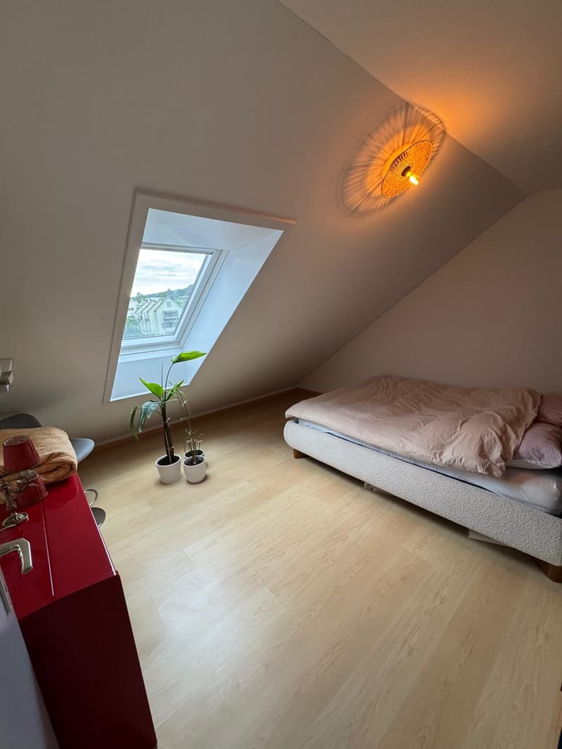 Centrally located & quiet: Furnished apartment available immediately - takeover or sublet (11)