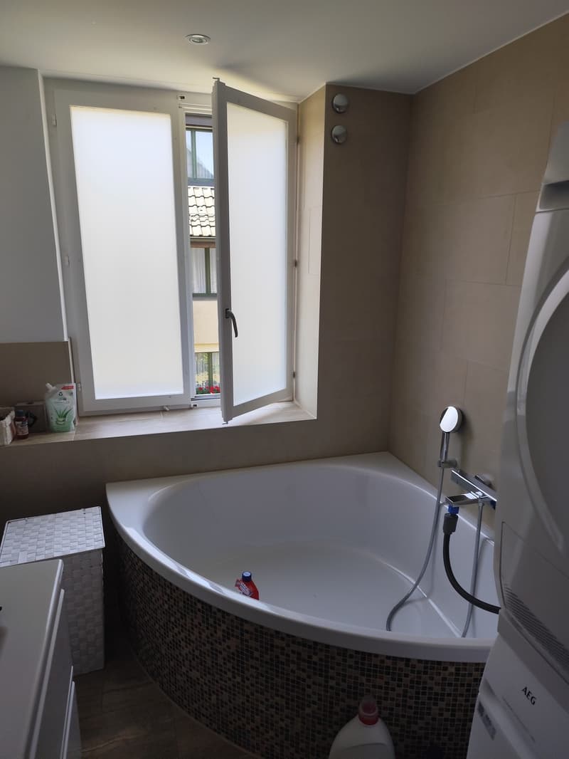 3 ½ pièces appartement, 8957 Spreitenbach (6)