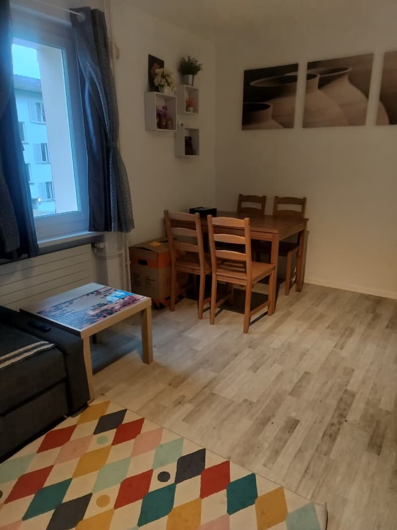 Geräumige 3.5-Zimmer-Wohnung zur Miete Schürgistrasse 69, 8051 Zürich (6)
