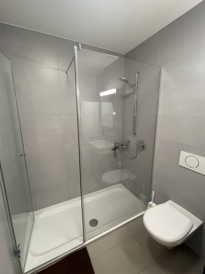 Cozy 2.5-room apartment in top location (6)