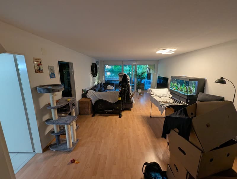 Schöne 2 1/2 Zimmer Wohnung in Winterthur Hegi (1)