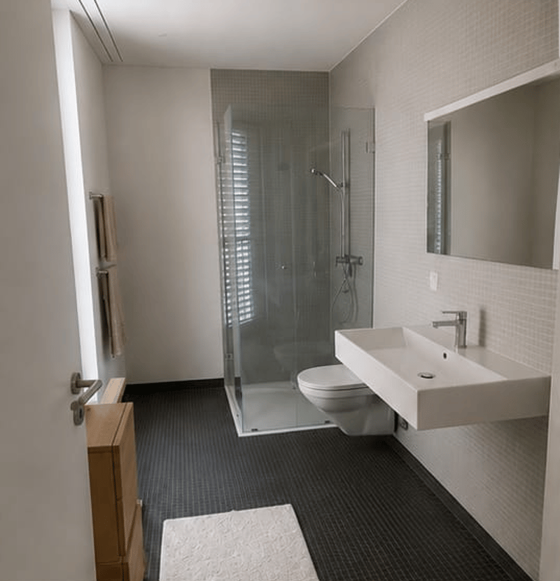 Bel appartement 2.5 pièces directement sur la Limmat (5)