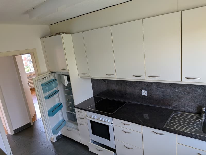 Urbanes Wohnglück zwischen Sihlcity und Uetliberg (5)