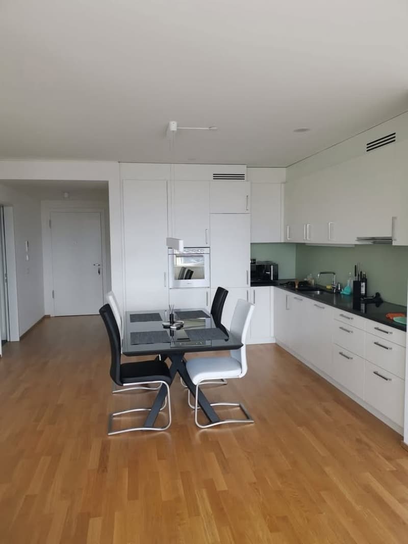 Appartamento di 2,5 locali moderno (temporaneo) 1 mese (6)