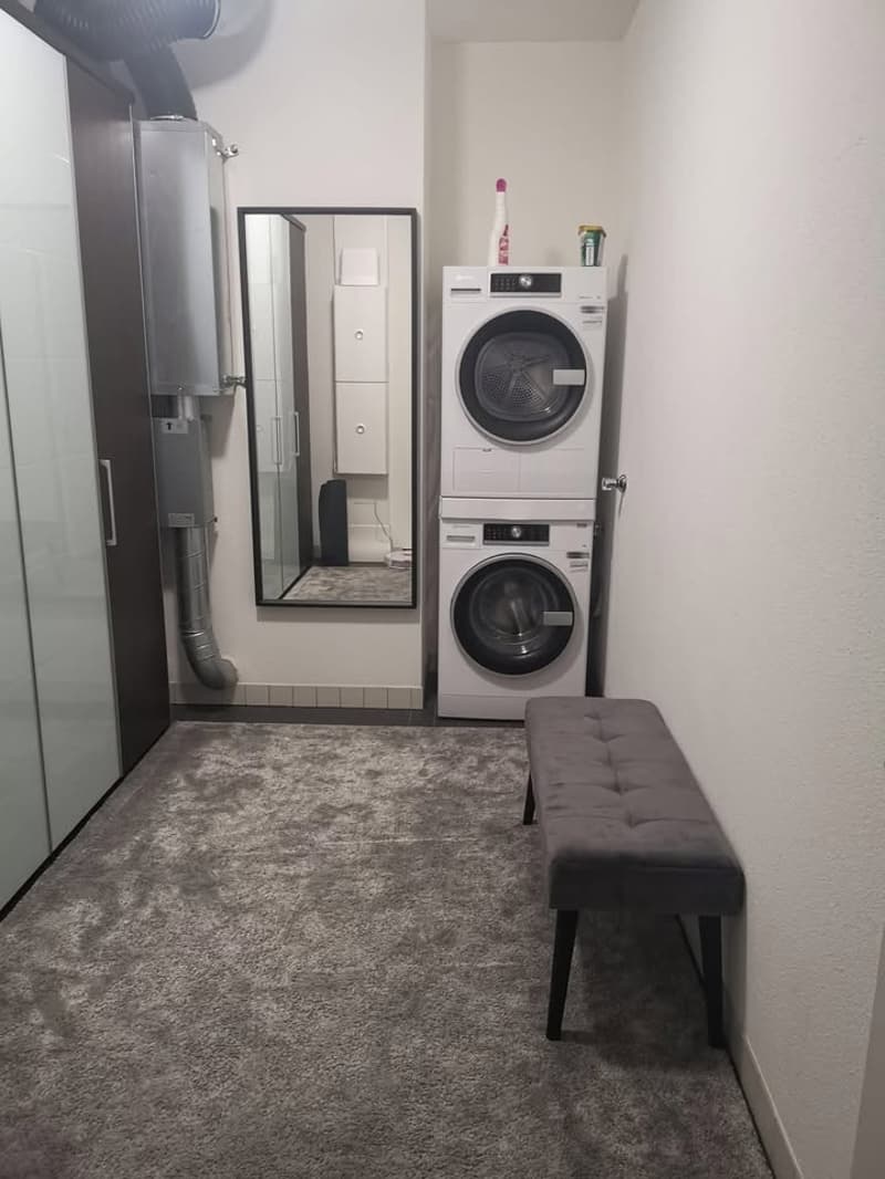 Appartamento di 2,5 locali moderno (temporaneo) 1 mese (7)