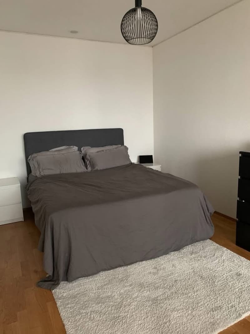 Appartamento di 2,5 locali moderno (temporaneo) 1 mese (9)