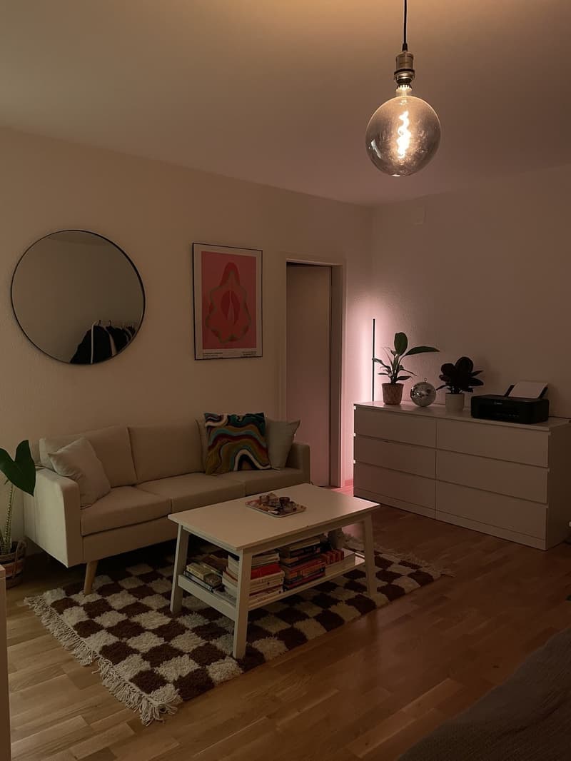 JULY ONLY! SUBLENTING 1-ROOM APARTMENT (2)