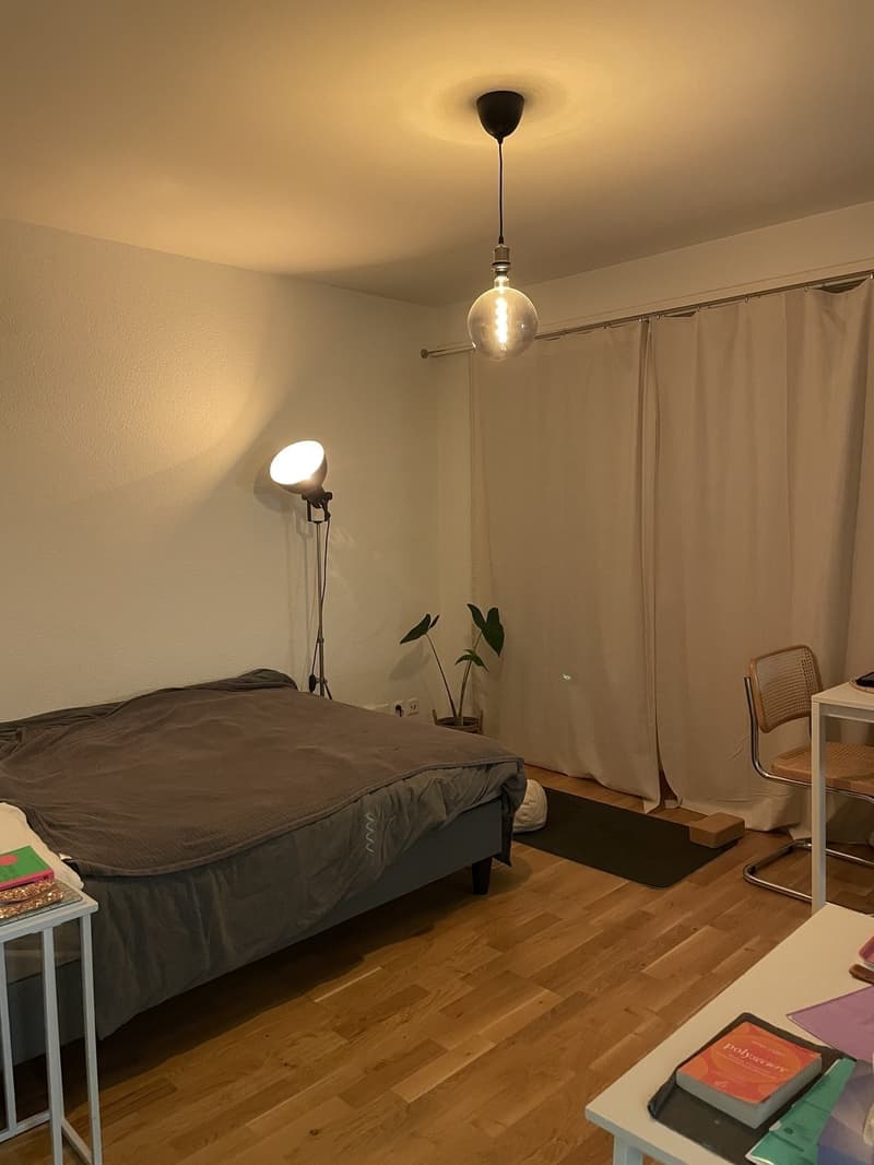 JULY ONLY! SUBLENTING 1-ROOM APARTMENT (3)