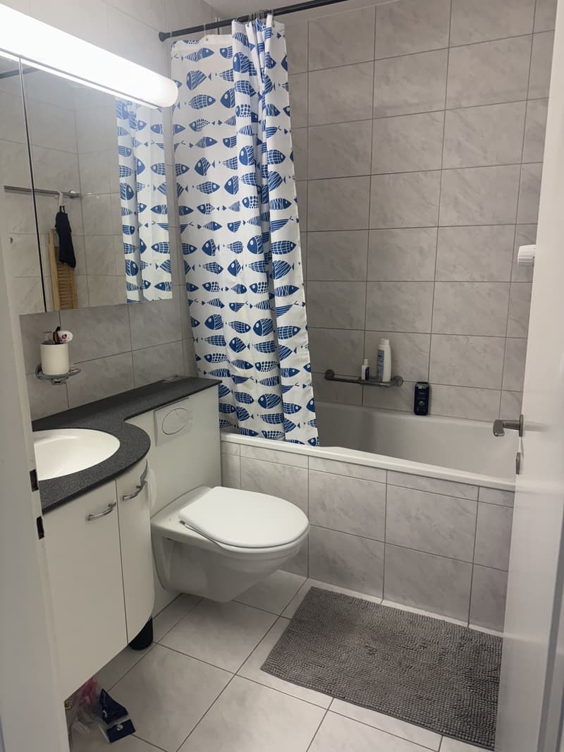 3 bedroom apartment, close to the forest and yet in the city (6)