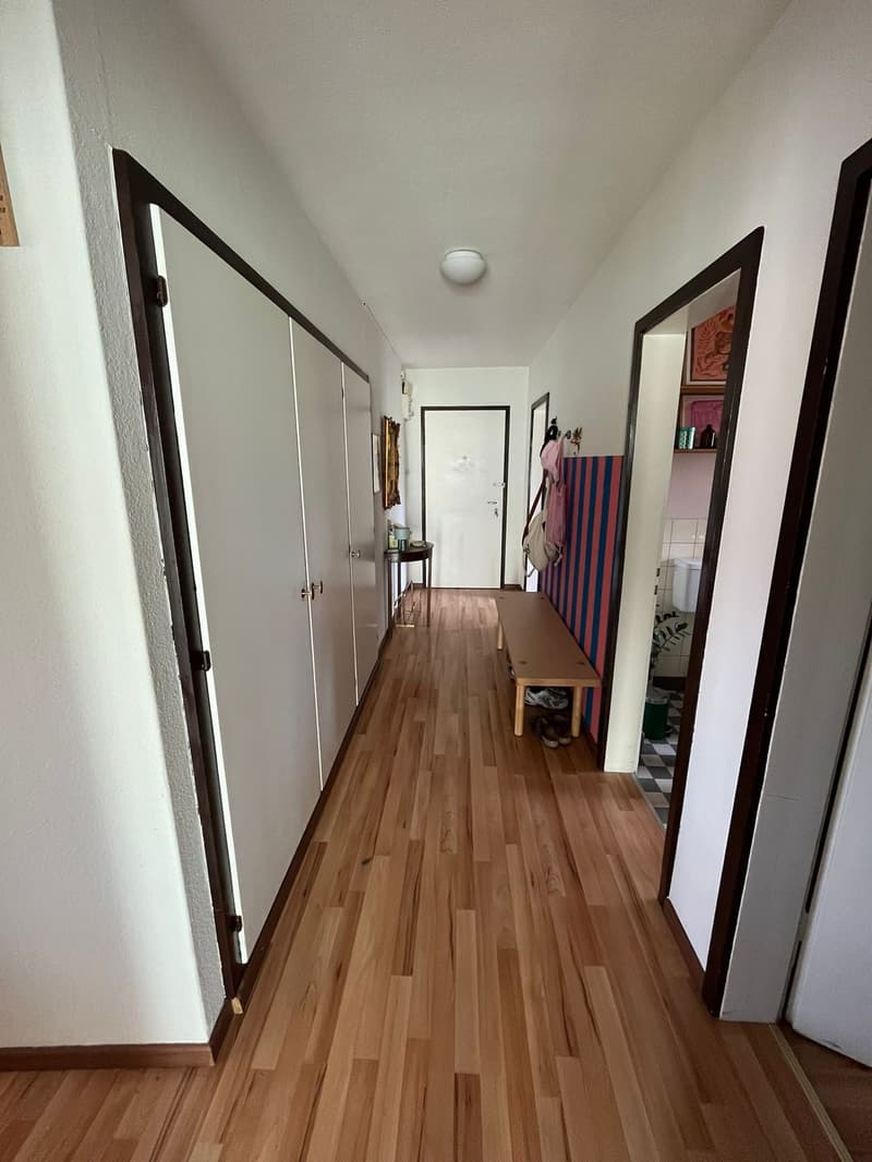 Unlimited 3-room apartment in Höngg (4)
