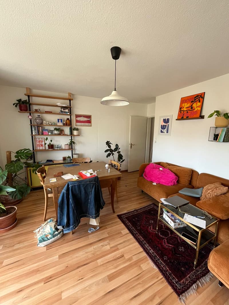 Unlimited 3-room apartment in Höngg (9)