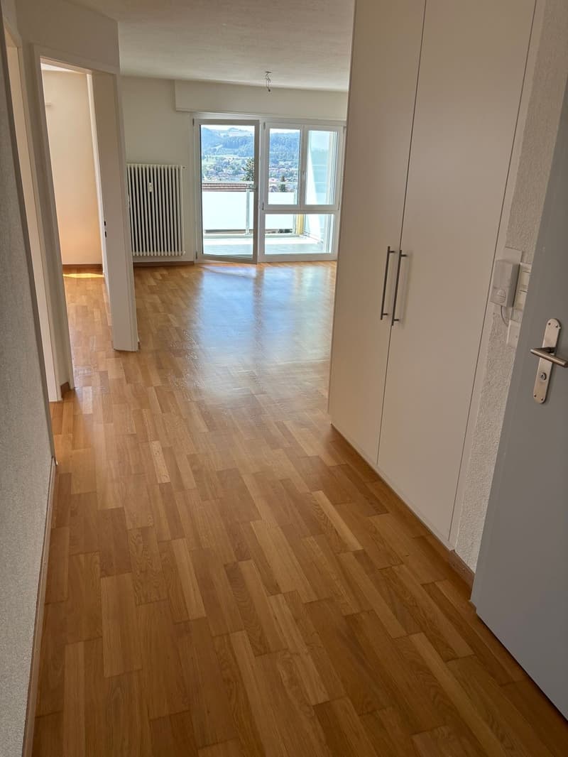 Modern 3.5-room apartment with balcony and beautiful view (4)