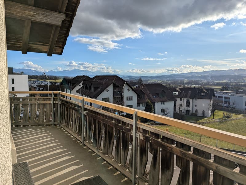 Furnished 4.5-room apartment near Zurich (6 months) ideal for expats / interim solution (7)