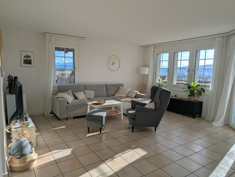 Furnished 4.5-room apartment near Zurich (6 months) ideal for expats / interim solution (1)