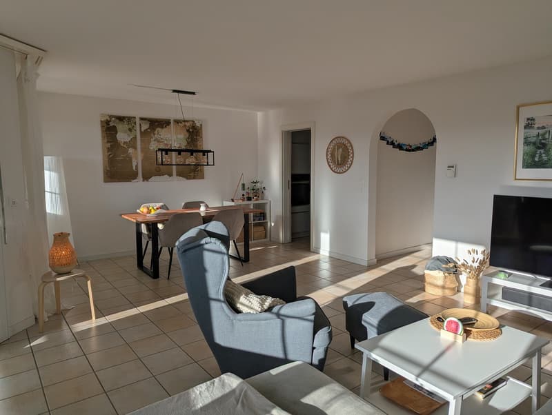 Furnished 4.5-room apartment near Zurich (6 months) ideal for expats / interim solution (4)