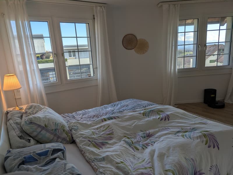 Furnished 4.5-room apartment near Zurich (6 months) ideal for expats / interim solution (13)