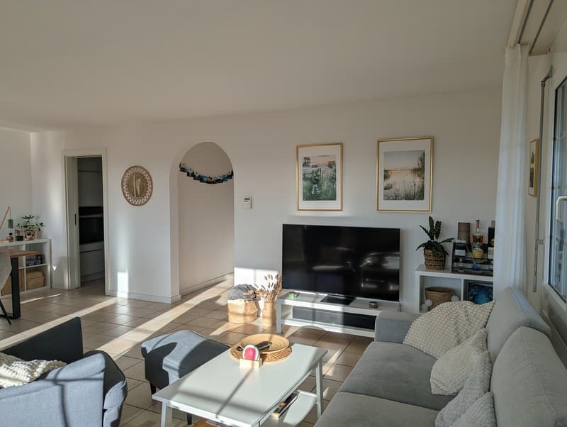 Furnished 4.5-room apartment near Zurich (6 months) ideal for expats / interim solution (5)