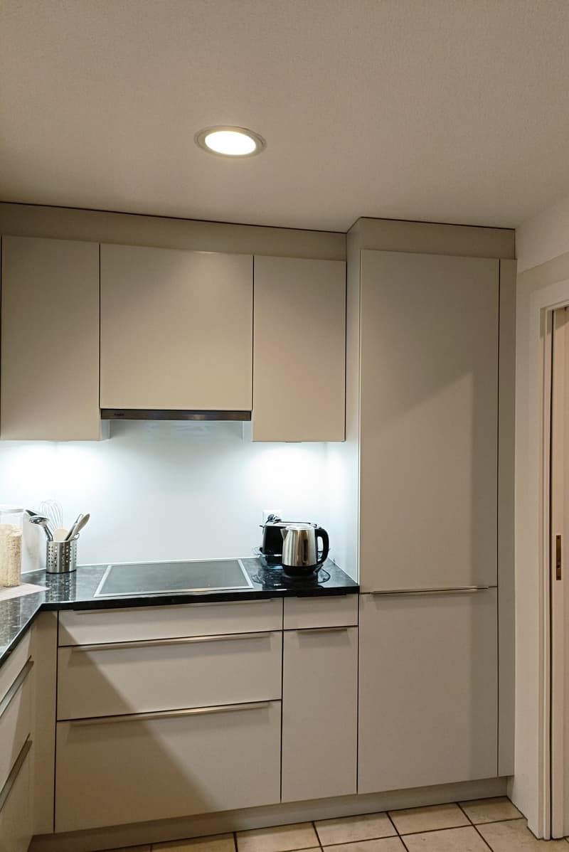 Furnished 4.5-room apartment near Zurich (6 months) ideal for expats / interim solution (11)