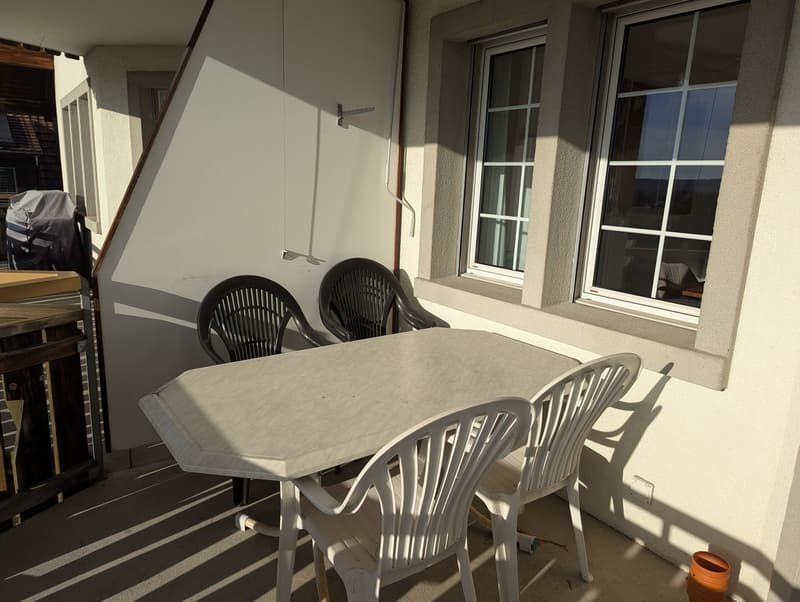 Furnished 4.5-room apartment near Zurich (6 months) ideal for expats / interim solution (9)