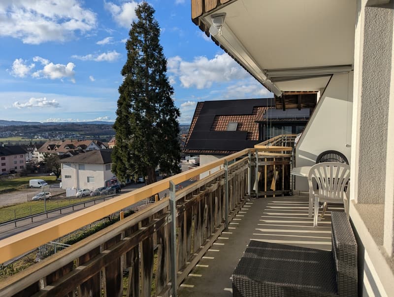 Furnished 4.5-room apartment near Zurich (6 months) ideal for expats / interim solution (8)