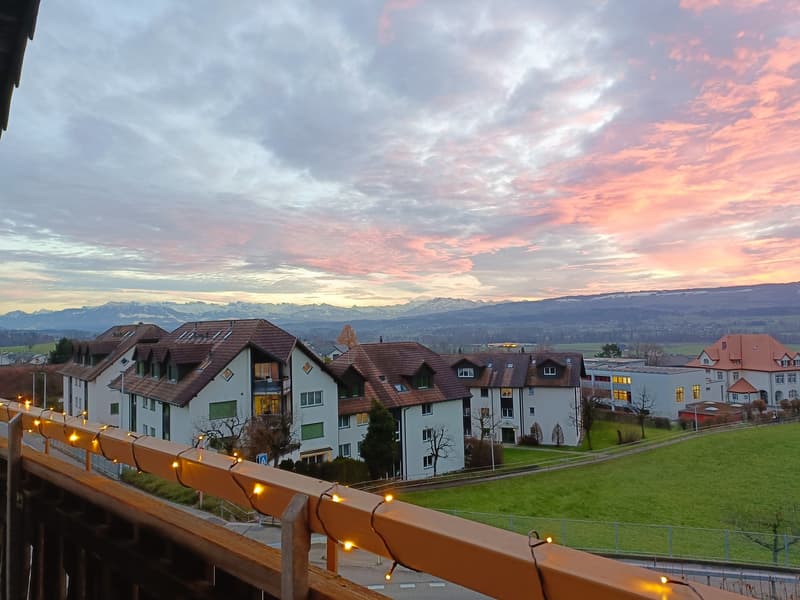 Furnished 4.5-room apartment near Zurich (6 months) ideal for expats / interim solution (6)