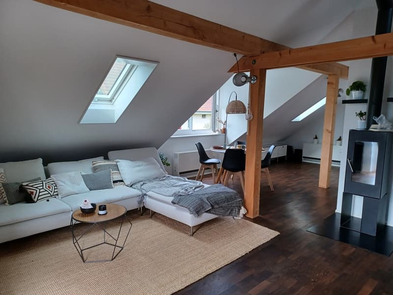 Recherche de sous-locataire (1)
