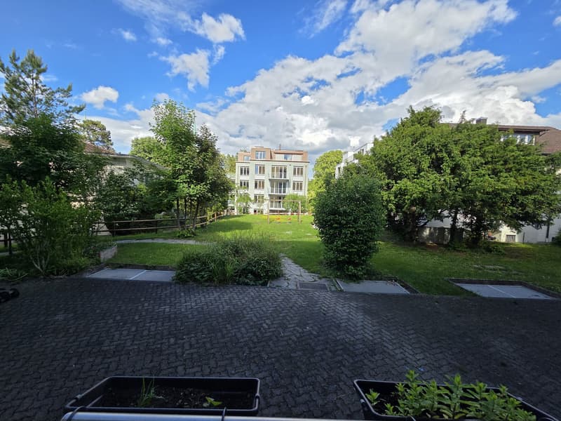 2,5-Zimmer-Wohnung Übernahme in Kreis 3 (Haldenstrasse 8055 Zürich) (2)