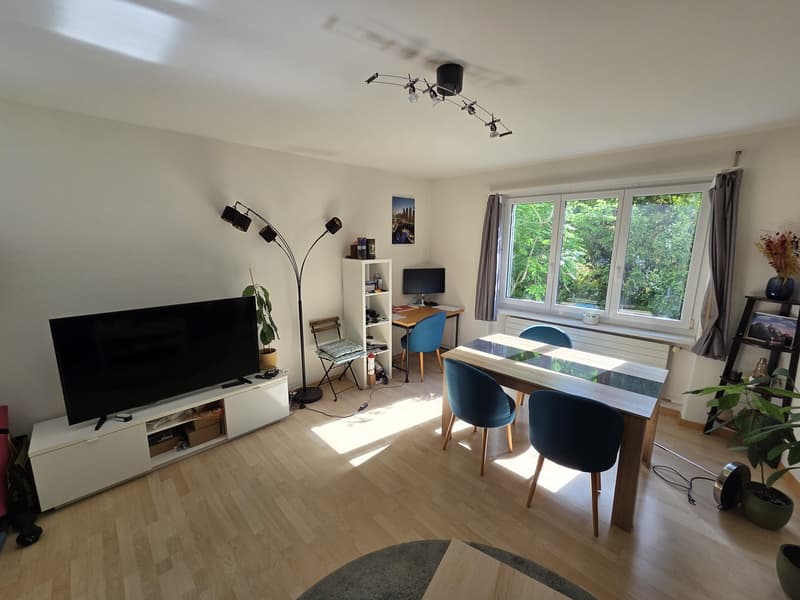 2,5-Zimmer-Wohnung Übernahme in Kreis 3 (Haldenstrasse 8055 Zürich) (1)