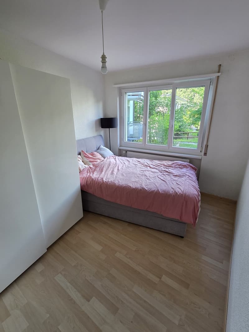 2,5-Zimmer-Wohnung Übernahme in Kreis 3 (Haldenstrasse 8055 Zürich) (3)