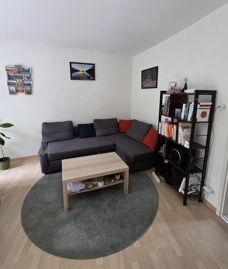 2,5-Zimmer-Wohnung Übernahme in Kreis 3 (Haldenstrasse 8055 Zürich) (4)